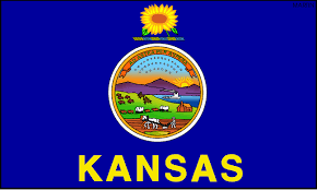 State Flag