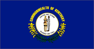 State Flag