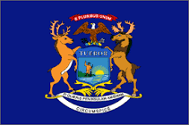 State Flag