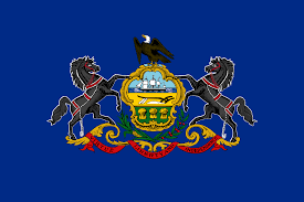 State Flag